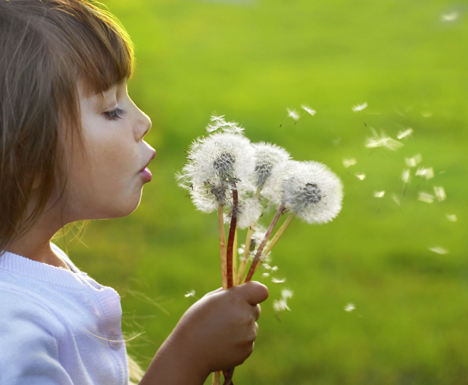 iStock_000011447049Medium iStock_000011447049Medium