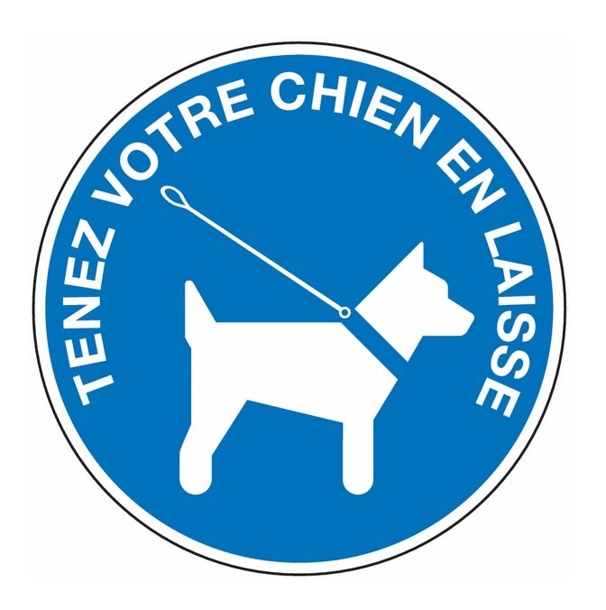 🐕 Rappel pour les propriétaires de chiens 🐶