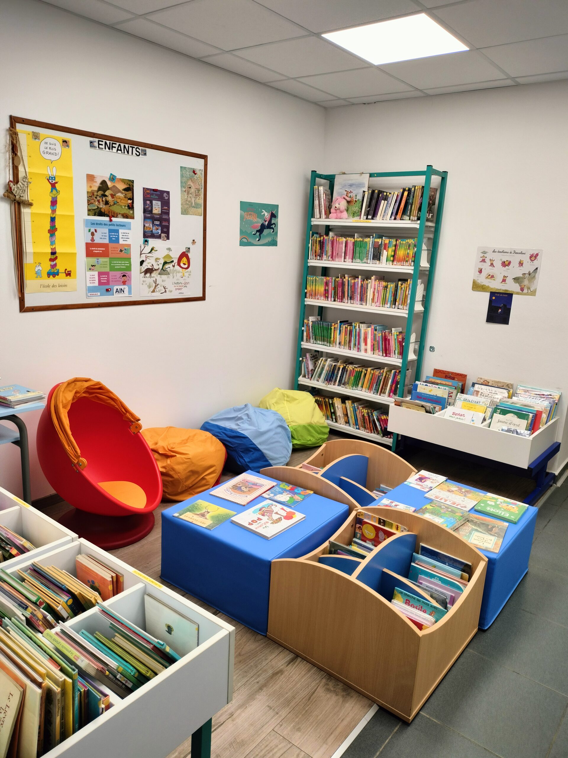 Animation bibliothèque 📚